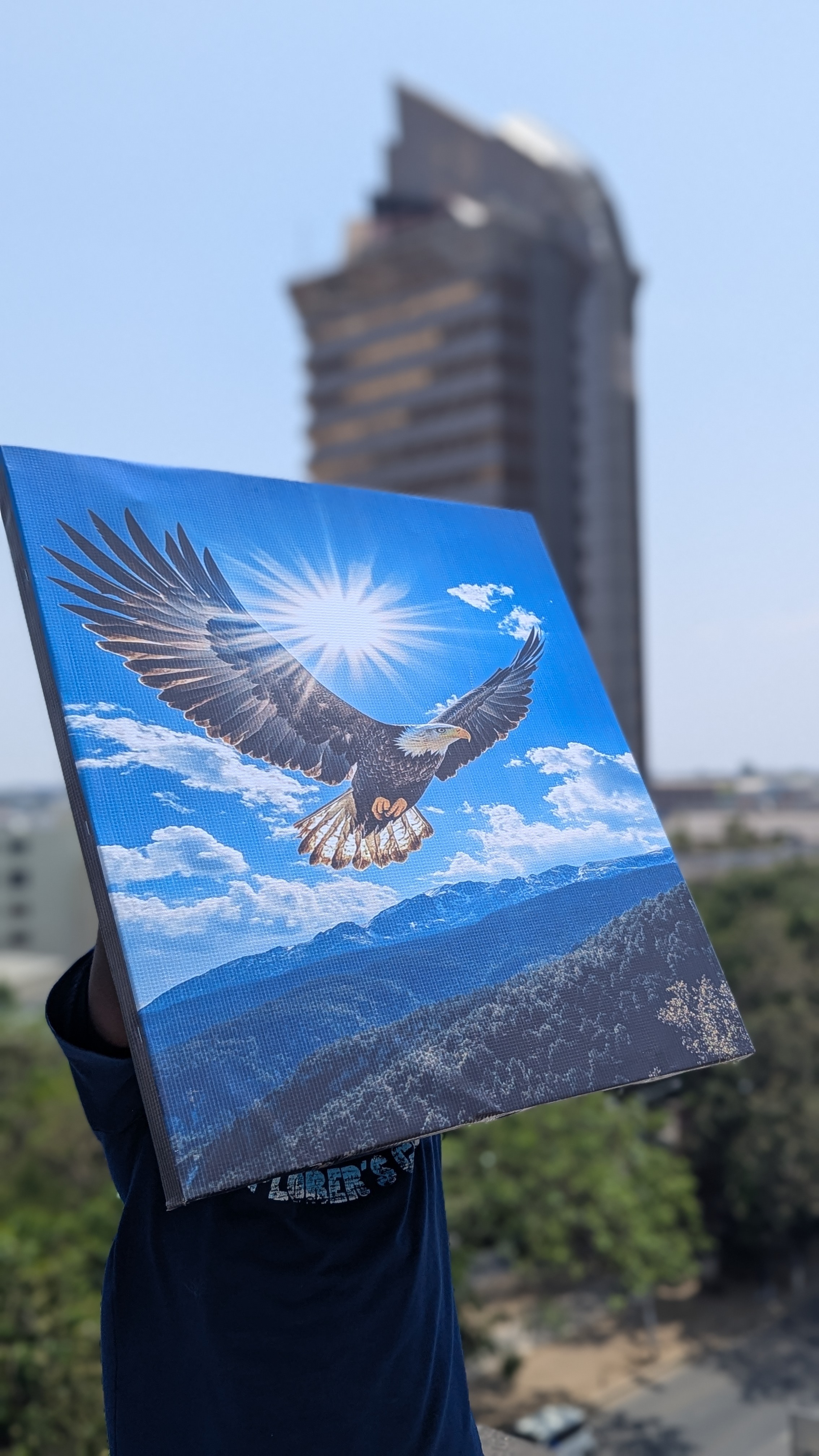 The Custom ZM portfolio Lusaka